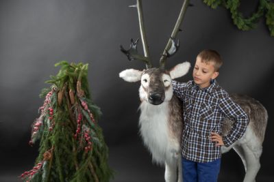 Weihnachtsfotoshooting Regensburg